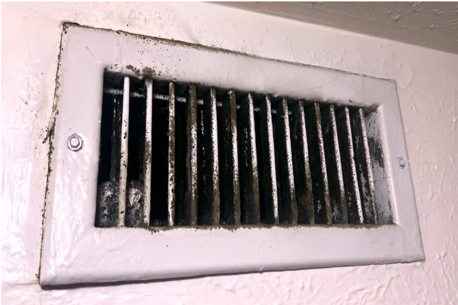 South Florida HVAC Mold Removal: Tips to Remediate & Prevent It in Homes South Florida HVAC